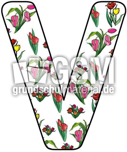 Tulpen-Buchstabe-V.jpg